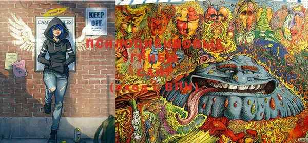 прущая мука Рославль