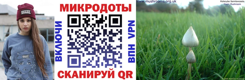 Галлюциногенные грибы Magic Shrooms  Купить закладки  Разумное 